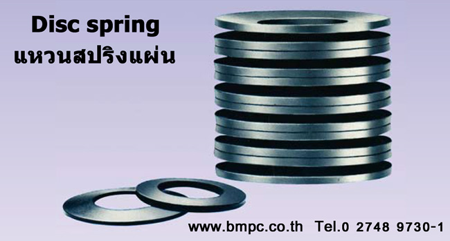 Schnorr, Disc spring, แหวนสปริงแผ่น, แหวนล๊อกคู่กันคลาย, Wave washer, แหวนกะทะ, Serrated Safety Washers, Disc lock washer, locking disc spring
